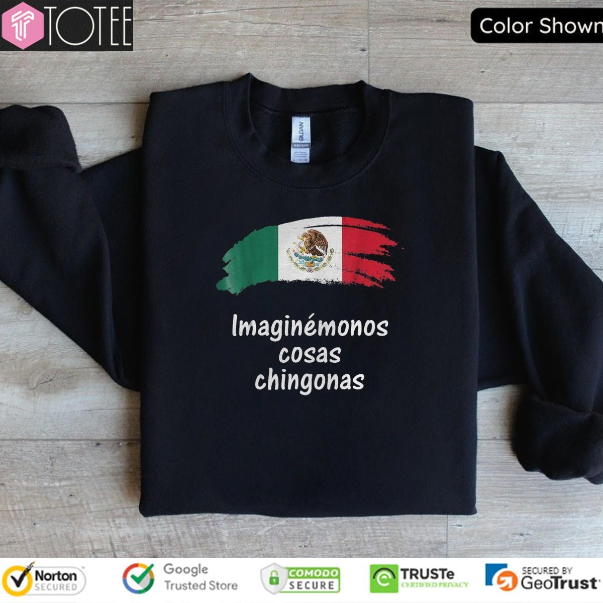 Imaginémonos Cosas Chingonas Mexican Flag Sweatshirt